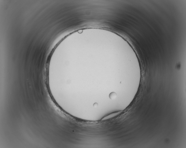 X0000114691147200912021039