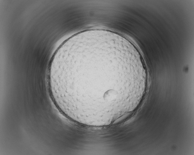 X0000114691149200912021039