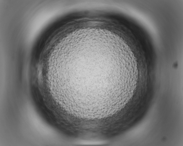 X0000114691150200912021039