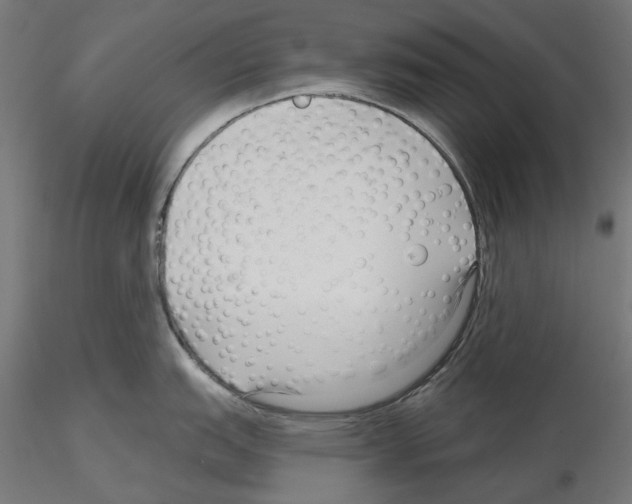 X0000114691151200912021039