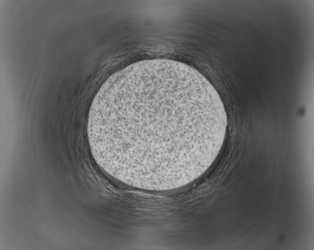X0000114691153200912021038