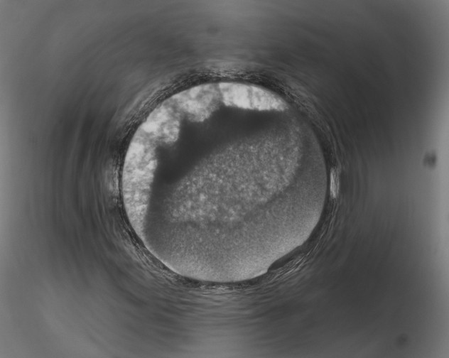 X0000114691155200912021038