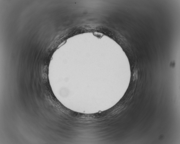 X0000114691156200912021038