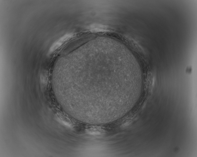 X0000114691157200912021038