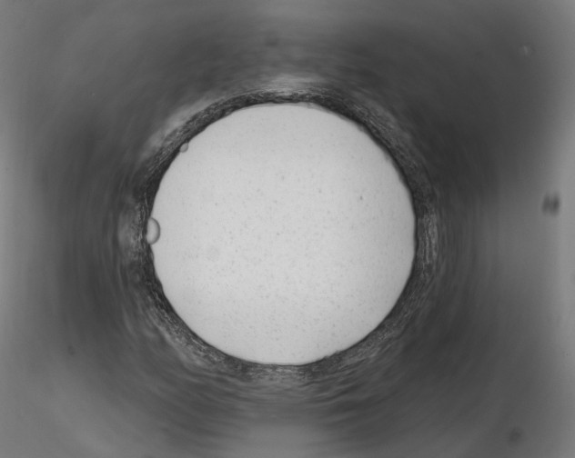 X0000114691158200912021038