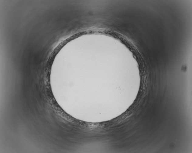 X0000114691160200912021038