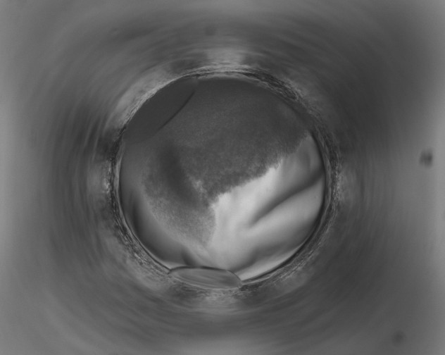 X0000114691161200912021038