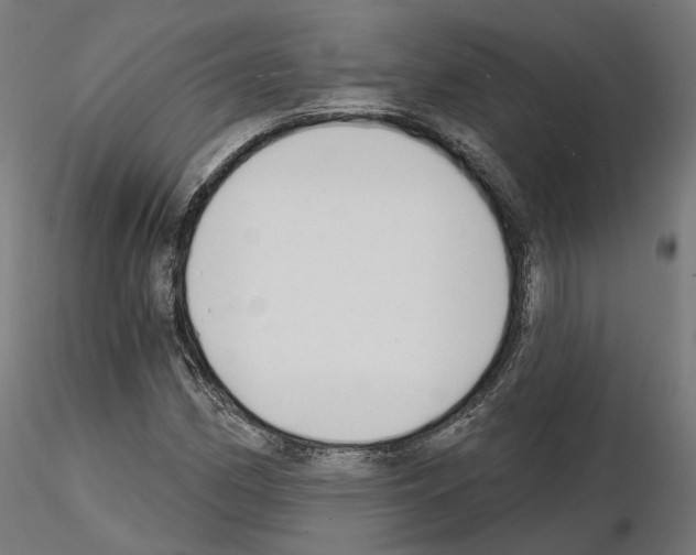 X0000114691162200912021038