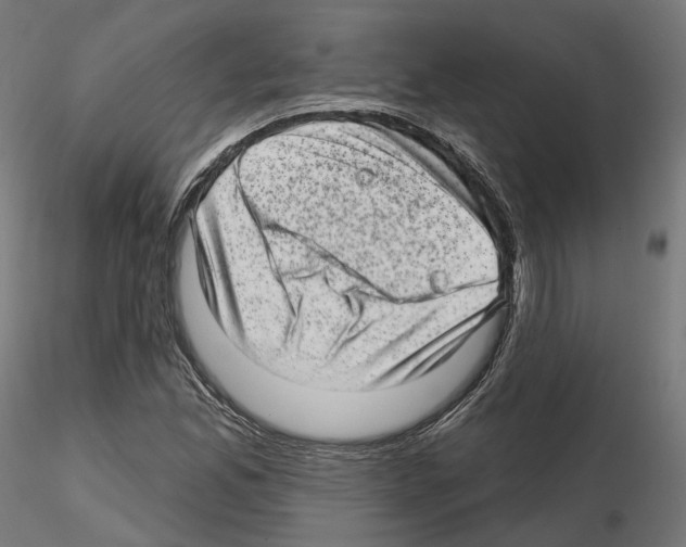 X0000114691165200912021038
