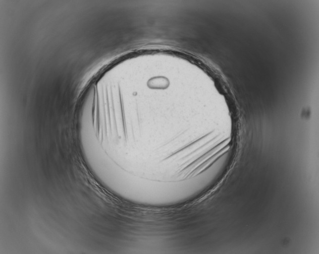 X0000114691167200912021038