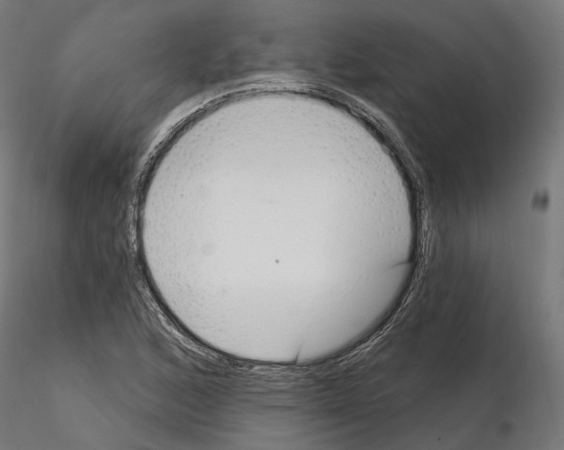X0000114691168200912021038