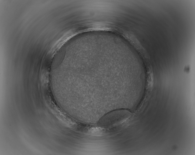 X0000114691169200912021038