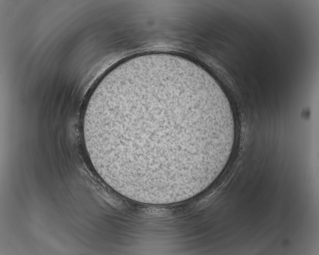 X0000114691170200912021038