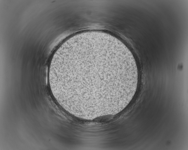 X0000114691171200912021038