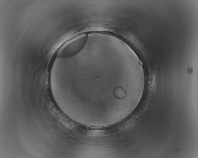 X0000114691173200912021038