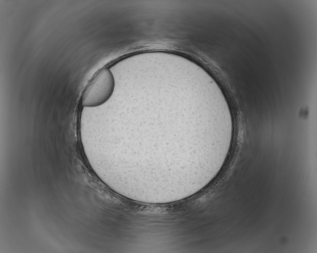 X0000114691174200912021038