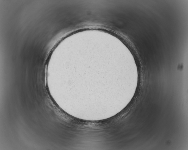 X0000114691175200912021038