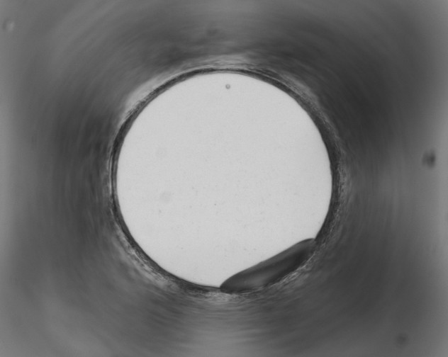 X0000114691176200912021038