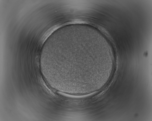 X0000114691177200912021038