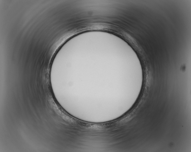 X0000114691178200912021038