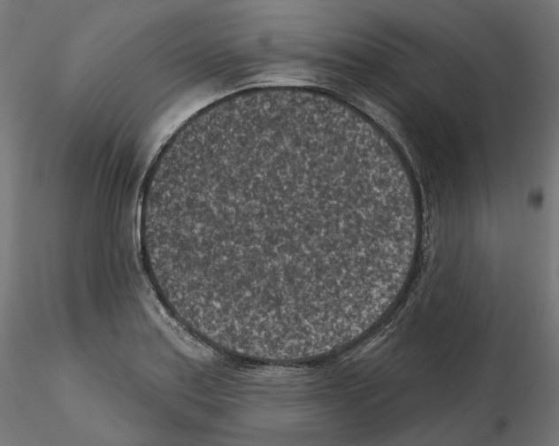 X0000114691179200912021038