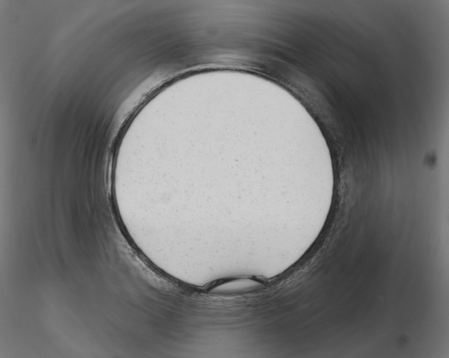 X0000114691180200912021038