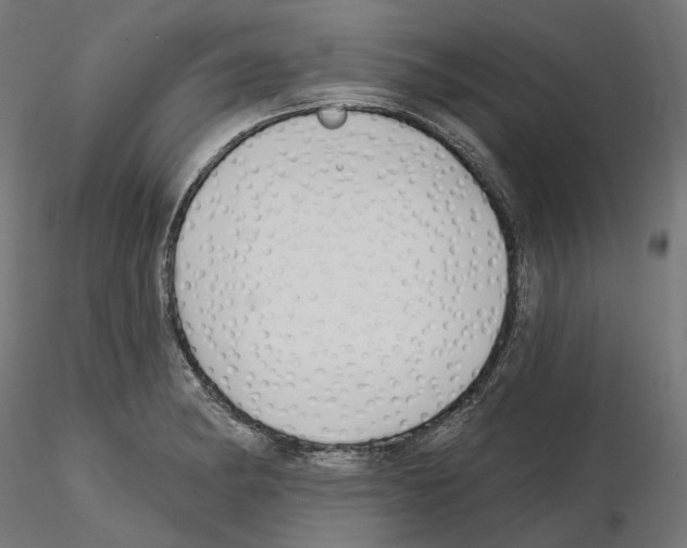 X0000114691182200912021038