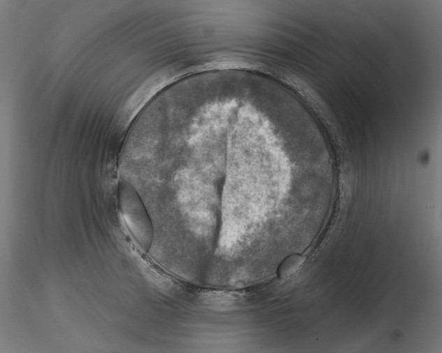 X0000114691185200912021038
