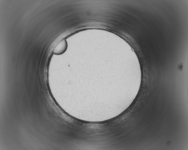 X0000114691188200912021038