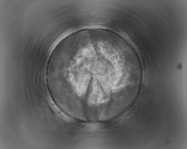 X0000114691189200912021038