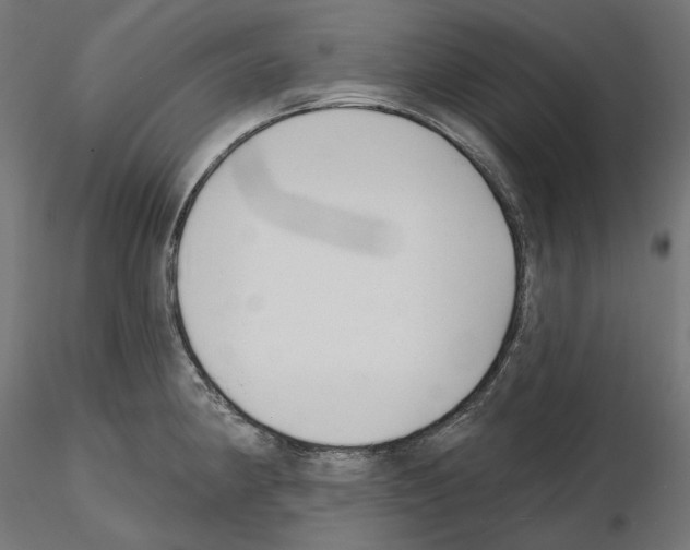 X0000114691190200912021038