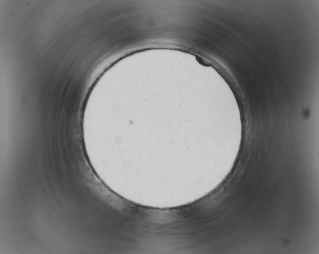 X0000114691192200912021038