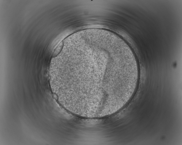 X0000114691193200912021038