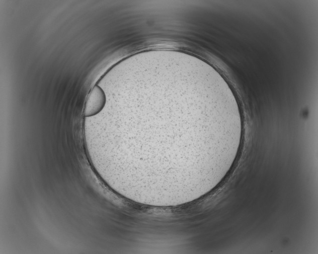 X0000114691194200912021038