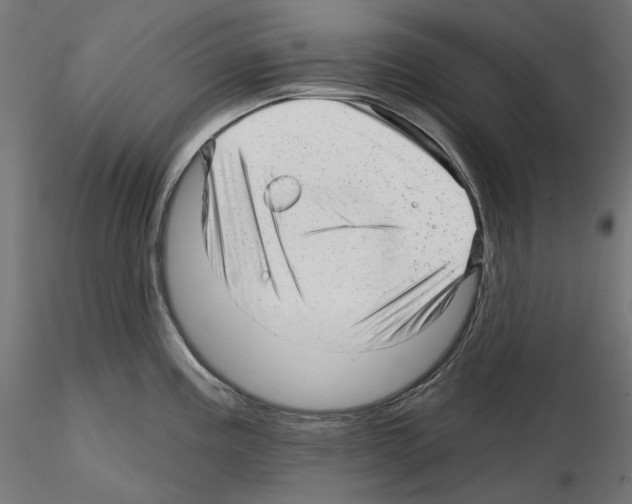 X0000114691195200912021038