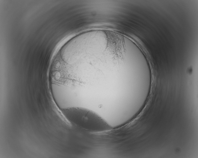 X0000114691196200912021038