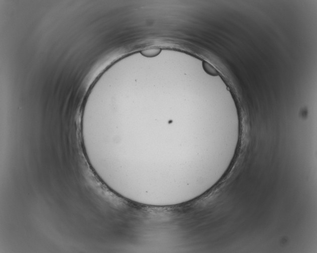 X0000114691198200912021037