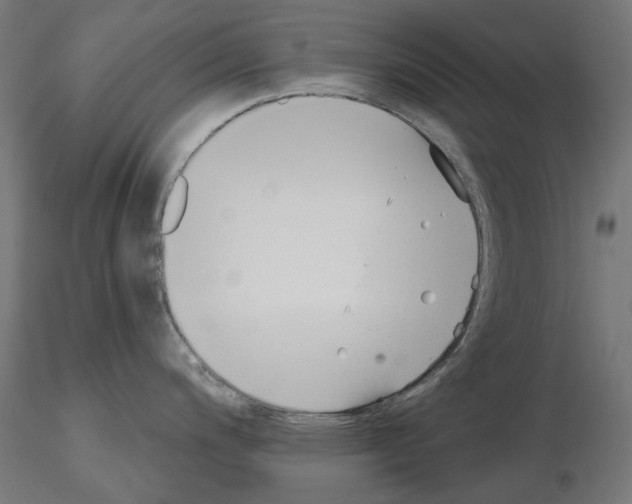 X0000114691200200912021037