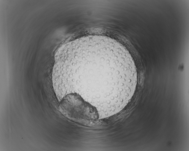 X0000114691201200912021037