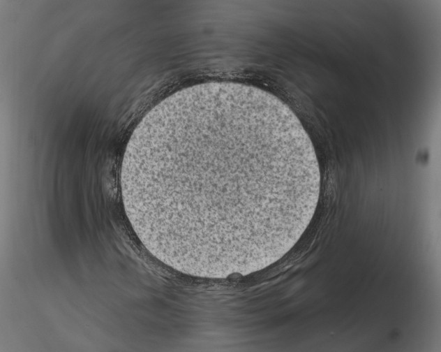 X0000114691202200912021037