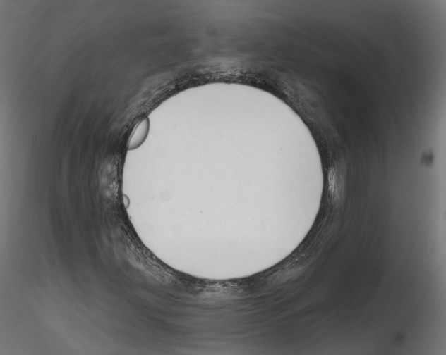 X0000114691203200912021037