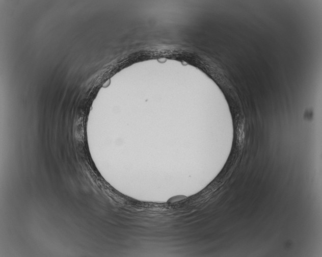 X0000114691204200912021037