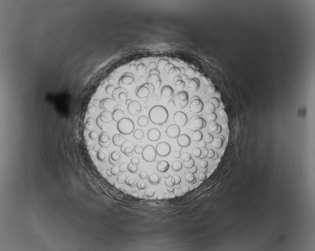 X0000114691205200912021037