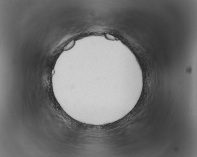 X0000114691206200912021037