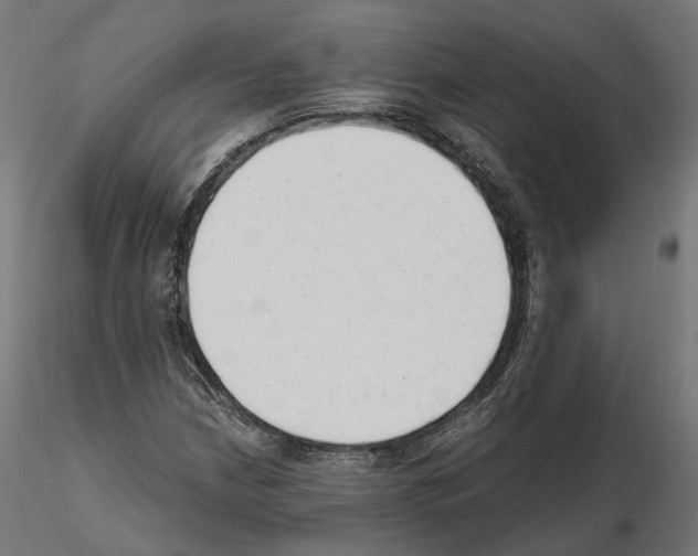 X0000114691210200912021037