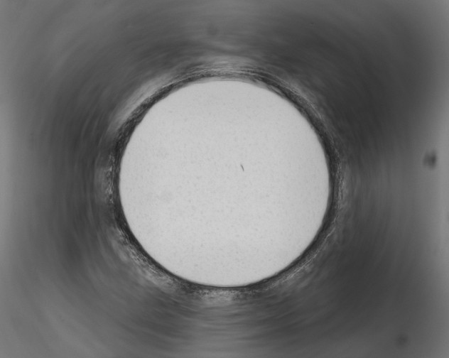 X0000114691211200912021037