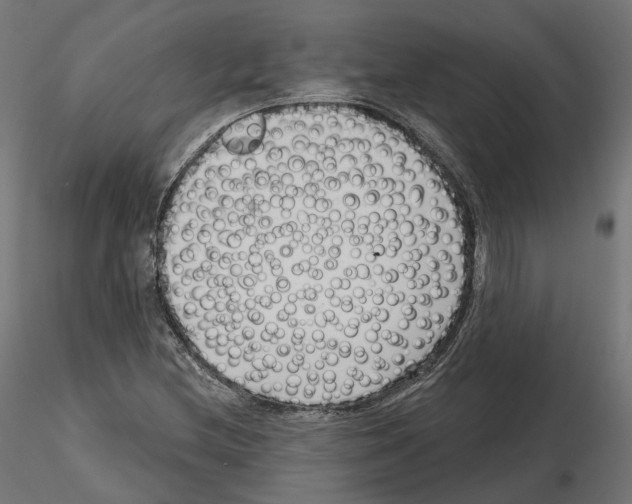 X0000114691212200912021037