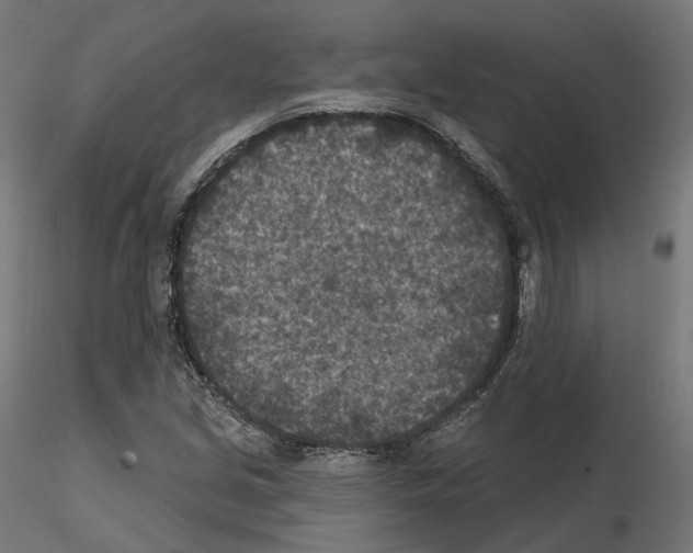 X0000114691213200912021037