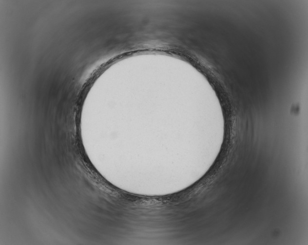 X0000114691214200912021037