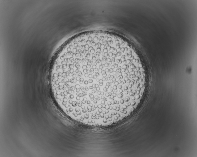 X0000114691216200912021037